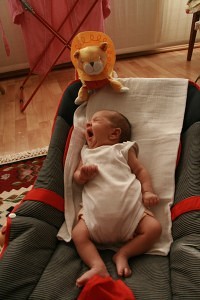 The Lion sleeps tonight