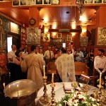 IMG_9006_small IMG_9006_small