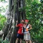 Giant_tree_Brazil_dobrestii.ro