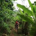 Jungle Pedra do Sabia Brazil dobrestii.ro