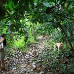 Jungle Pedra do Sabia Brazil dobrestii.ro
