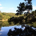 Lake_view_2_Pedra_do_Sabia_dobrestii.ro