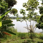 River_view_2_Pedra_do_Sabia_dobrestii.ro