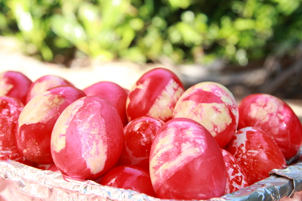 The result of the dying - beautiful red eggs - dobrestii.ro